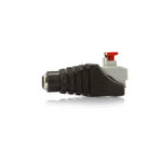 Adaptador Borne Pressão x Plug P4 Fêmea