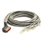 CABO RJ21 – 24 x RJ45 – CAT. 5-6